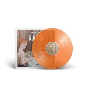 Rats - Orange